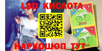 стафф Донецк