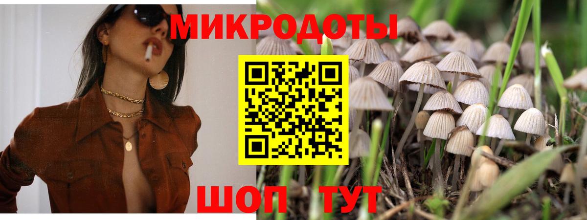 Галлюциногенные грибы Psilocybine cubensis  Вход с VPN  Кушва 